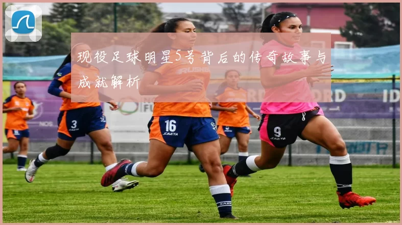 现役足球明星5号背后的传奇故事与成就解析