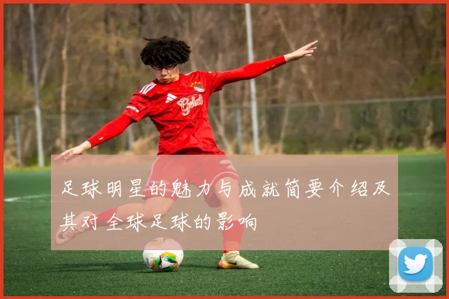 足球明星的魅力与成就简要介绍及其对全球足球的影响