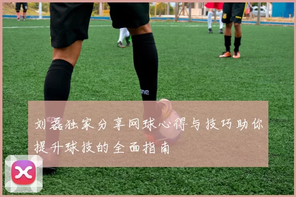 刘磊独家分享网球心得与技巧助你提升球技的全面指南