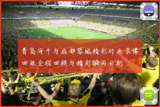 青岛海牛与成都蓉城精彩对决录像回放全程回顾与精彩瞬间分析